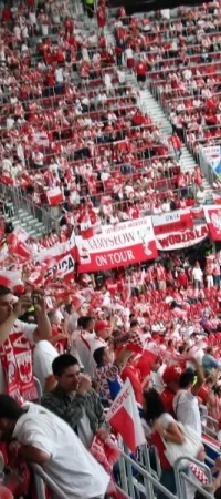 Tylko niewielu udało zdobyć się bilety na Euro