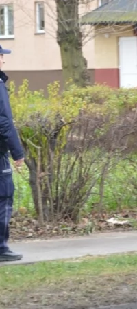 policja