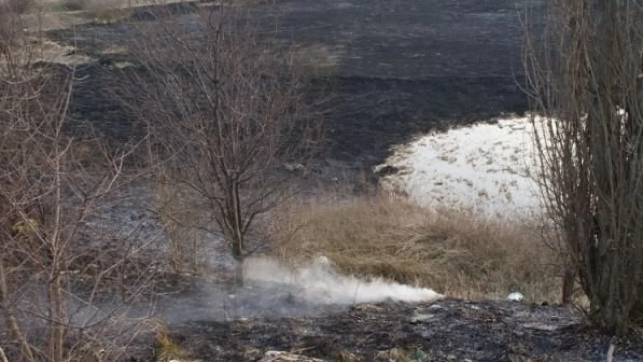 Płoną trawy i nieużytki