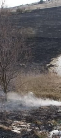 Podpalone łąki w okolicach Bajkowego