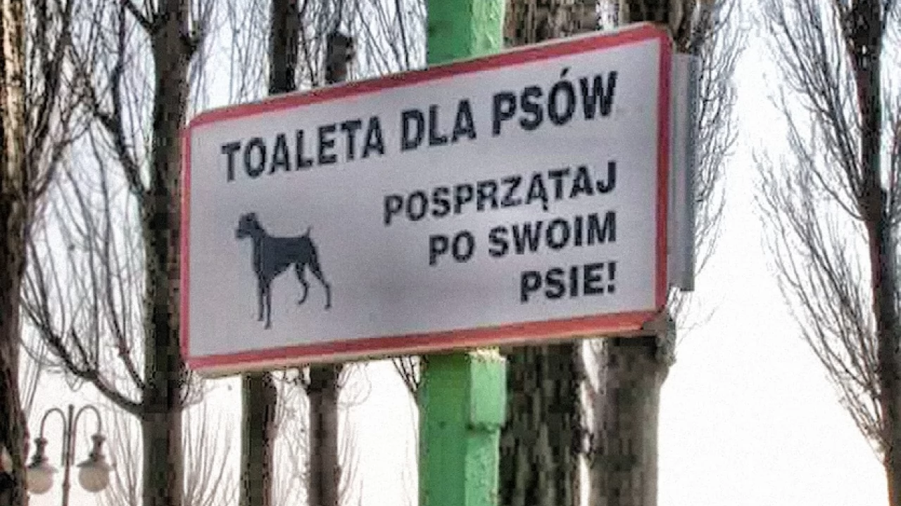 O psich nieczystościach ciąg dalszy. "Lepiej wrzucić do zwykłego kosza, niż zostawić przy piaskownicy"