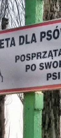 Toaleta dla psów