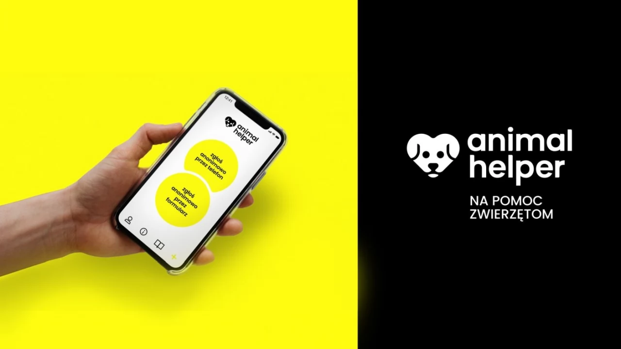 112 dla zwierząt. Pomóż stworzyć aplikację Animal Helper