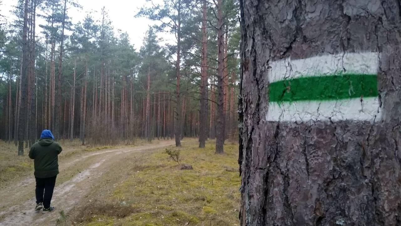 Nie masz pomysłu na majówkę w pandemii? Pomorskie szlaki piesze i rowerowe czekają
