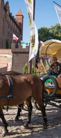 Bryczką dookoła Polski