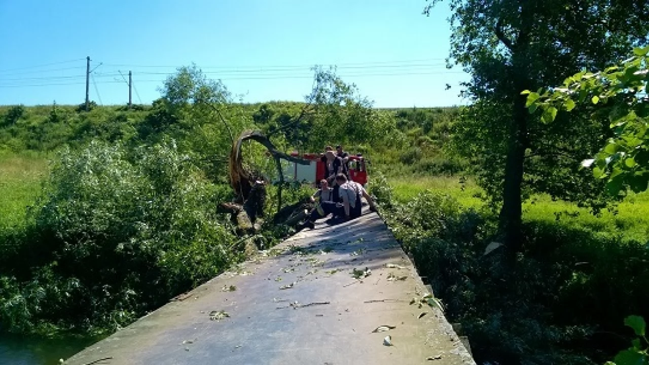 Pelplin. Kładka nad Wierzycą zamknięta do odwołania