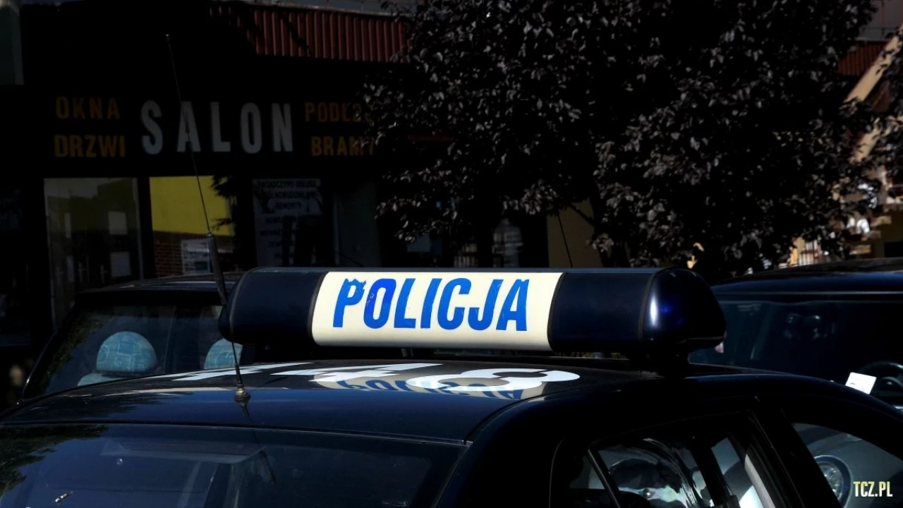 Kierowcy mogą sprawdzić, ile uzbierali punktów karnych