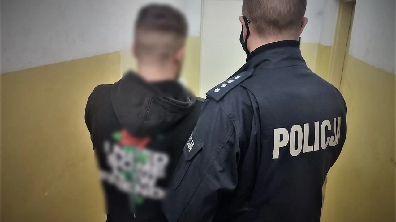 Dwaj obywatele Mołdawii odpowiedzą za kradzieże