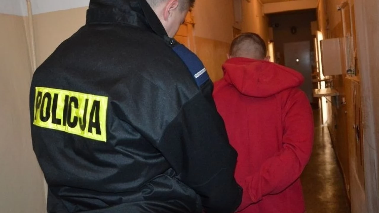 Posiadał broń bez zezwolenia. Grozi mu nawet 8 lat więzienia