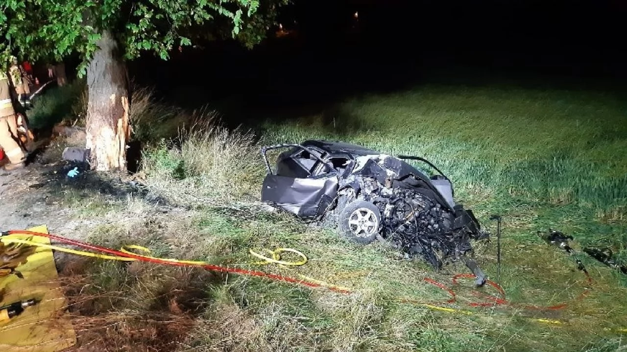 Samochód uderzył w drzewo. 19- i 15-latek trafili do szpitala
