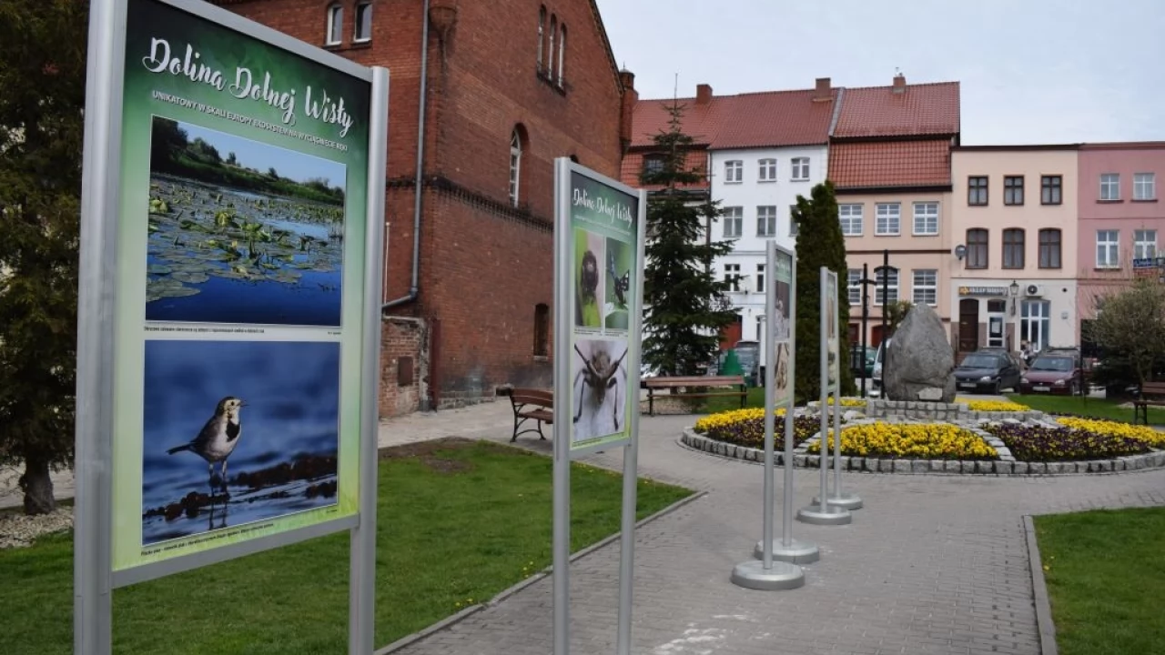 Urzekająca przyroda na skwerku w Gniewie