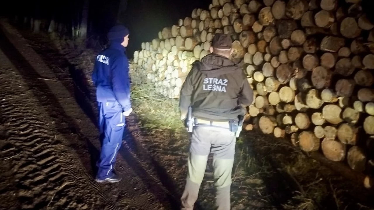 Akcja "Choinka". Leśnicy i policja na wspólnym patrolu