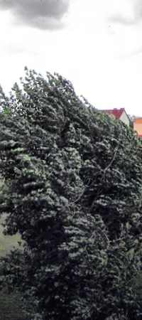 Porywisty wiatr, załamanie pogody (07.08.2011, godz. 14:50)
