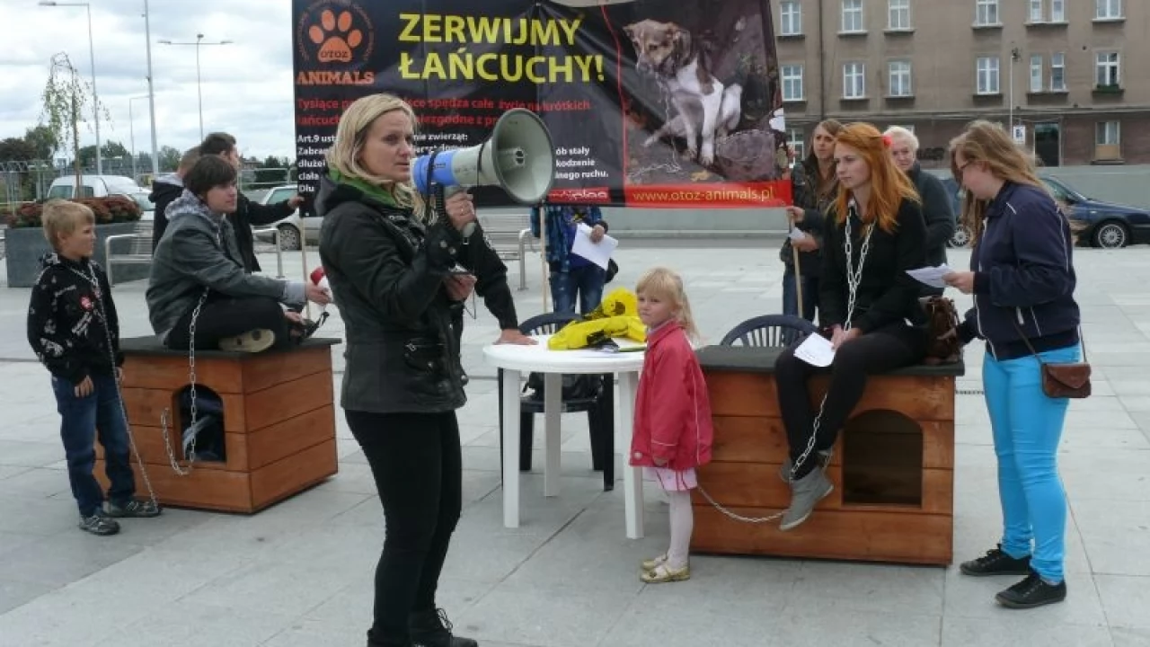 Tczewianie na łańcuchach - siłacz też. Wszystko, by poprawić los czworonogów