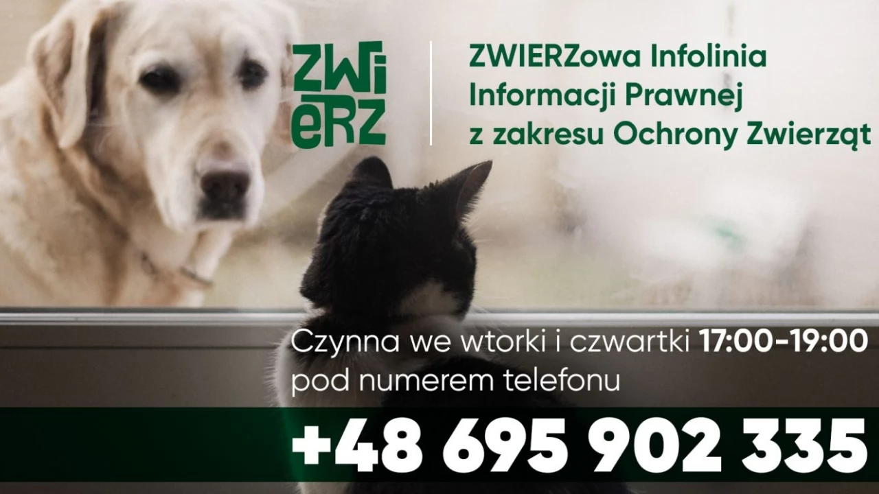 ZWIERZowa Infolinia Bezpłatnej Informacji Prawnej z Zakresu Ochrony Zwierząt