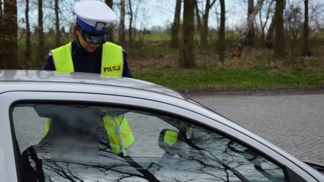 Policyjne kontrole na "22". Będą kolejne