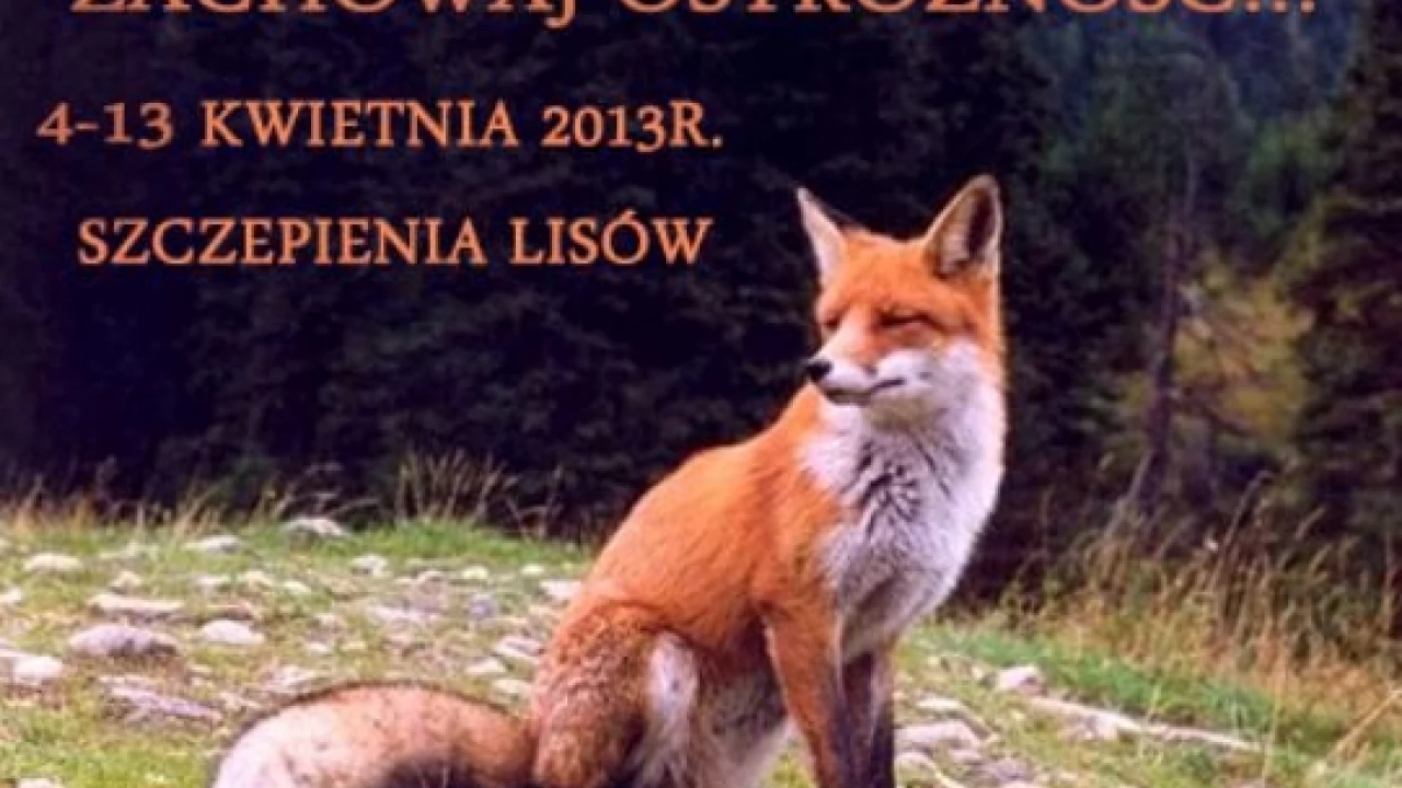 Przez trzy tygodnie nie wchodź do lasu
