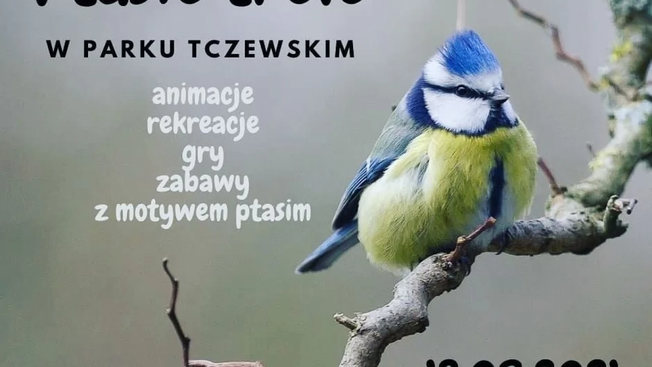 Nurkuj w zielone. Spotkania na łonie przyrody