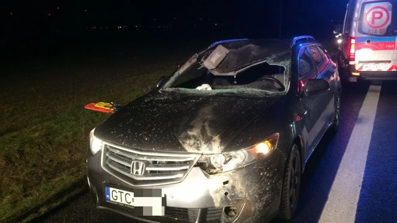 Jedna osoba ranna po zderzeniu osobówki z sarną
