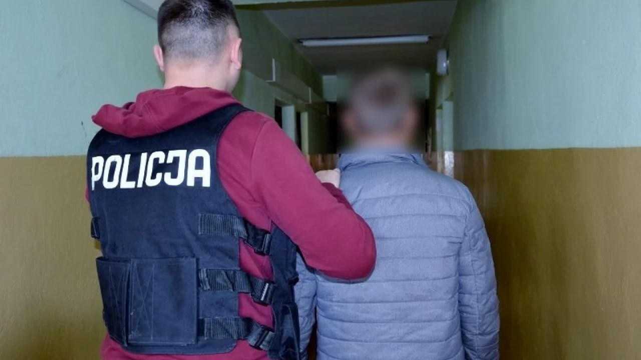 12 zarzutów dla 22-latka. Kradł, co popadło