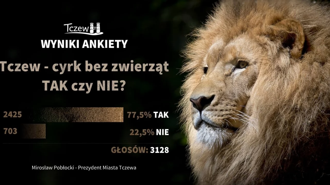 Wyniki ankiety. Zdecydowana większość powiedziała "nie" cyrkom ze zwierzętami