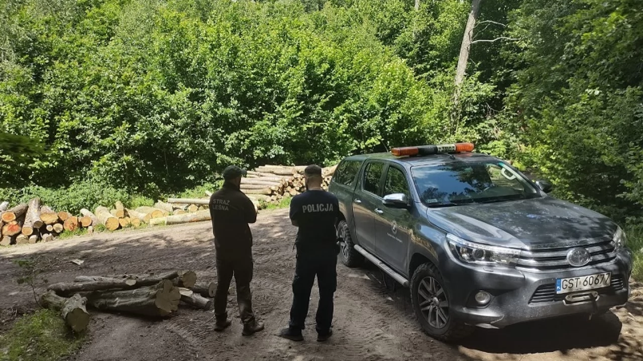 Policjant i strażnicy leśni pilnują porządku w lasach powiatu tczewskiego