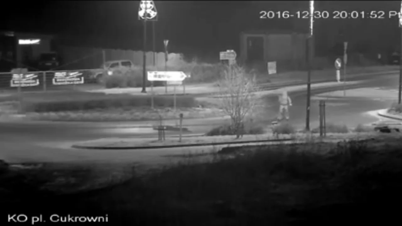 Wyrywał znaki i wpadł - to nie koniec jego kłopotów