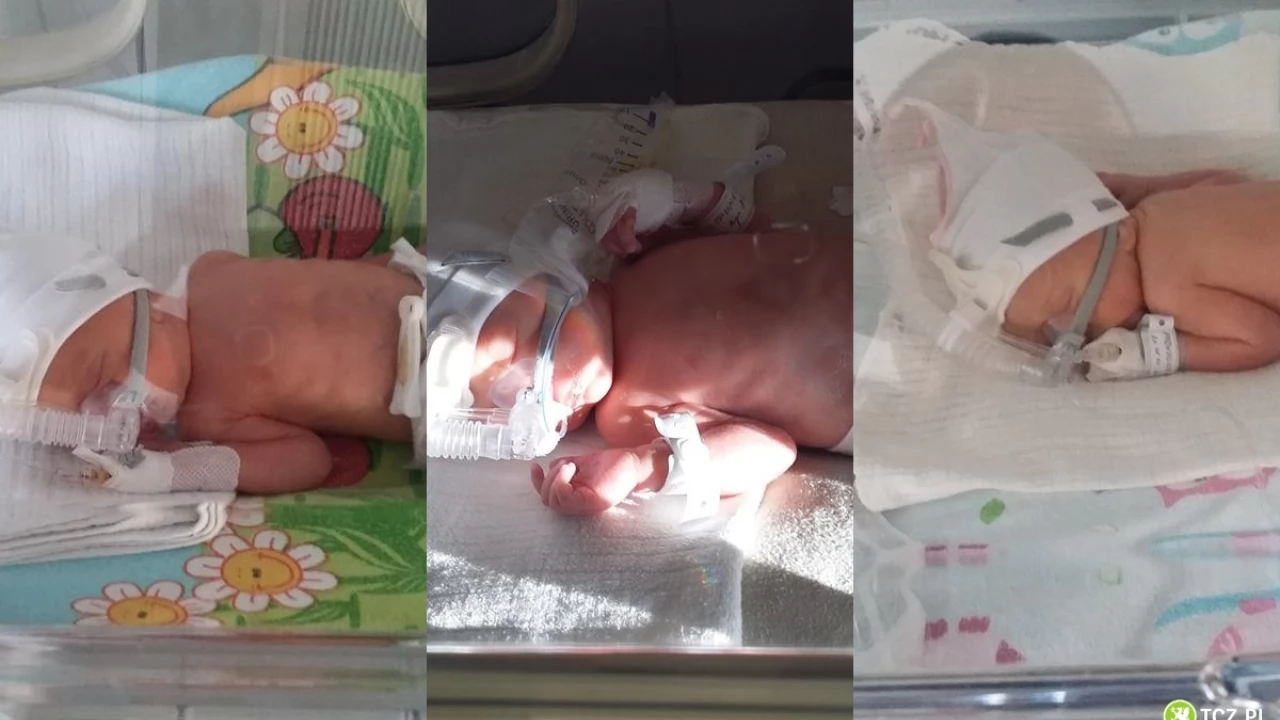 Potrójne szczęście! W gminie Tczew na świat przyszły trojaczki