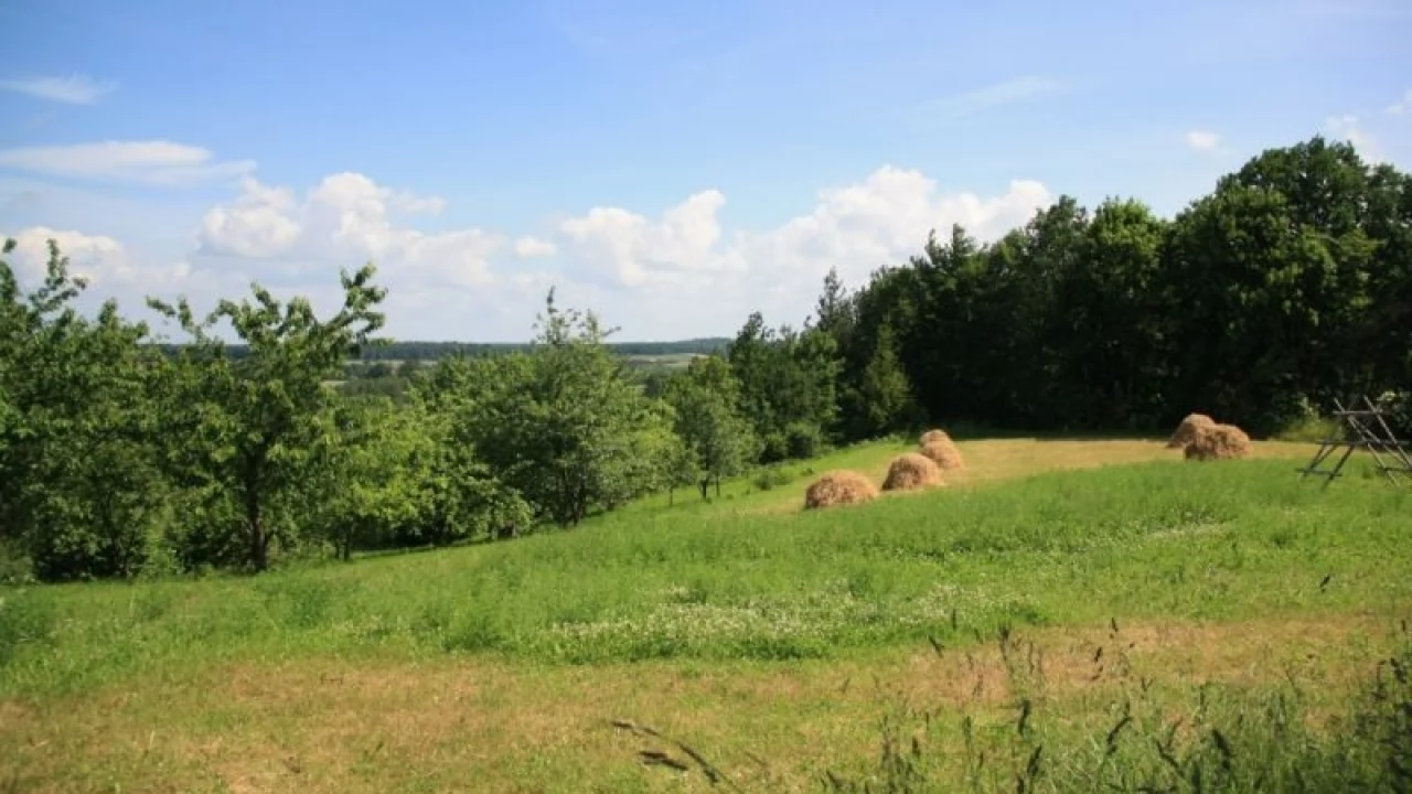 Opalenie najpiękniejsze w gminie Gniew