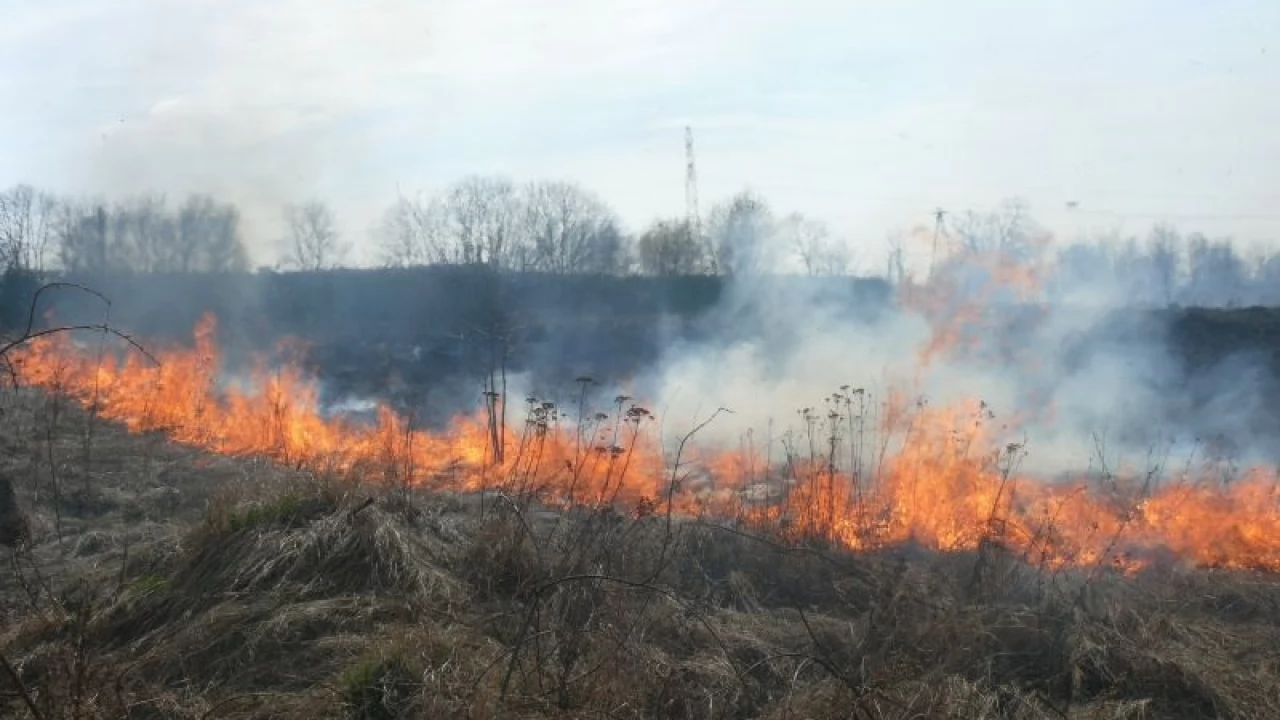 11 pożarów traw w ciągu tygodnia