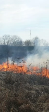 Pożar traw przy Bricomarche
