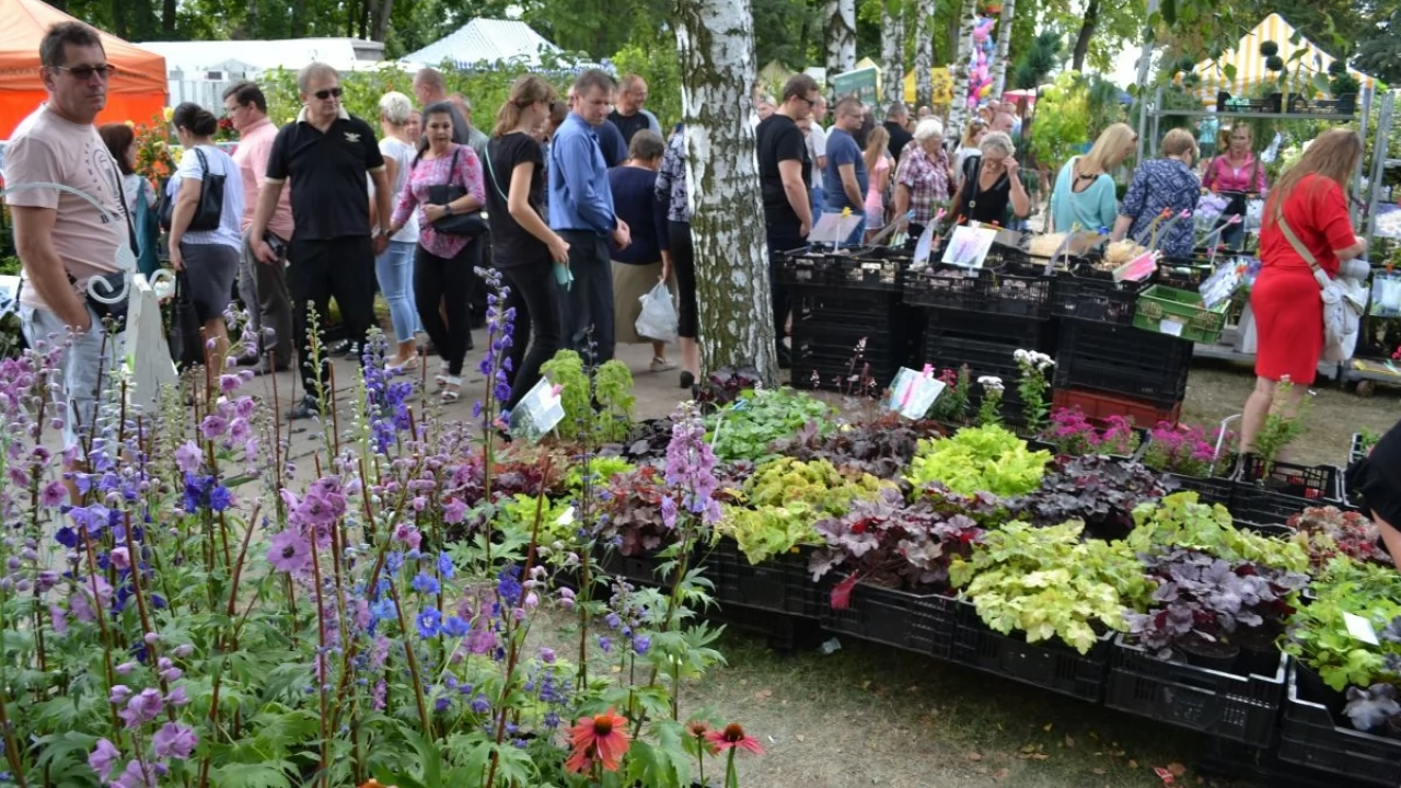 XXIV Jesienne Targi Ogrodnicze w Starym Polu z tczewskimi akcentami
