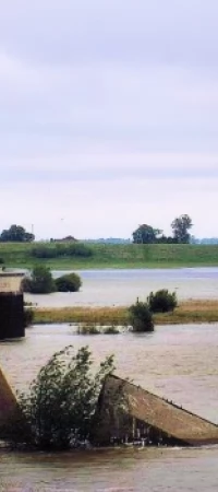 Wisła