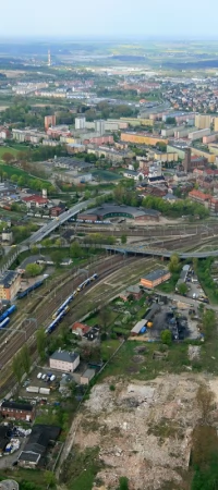 Tory