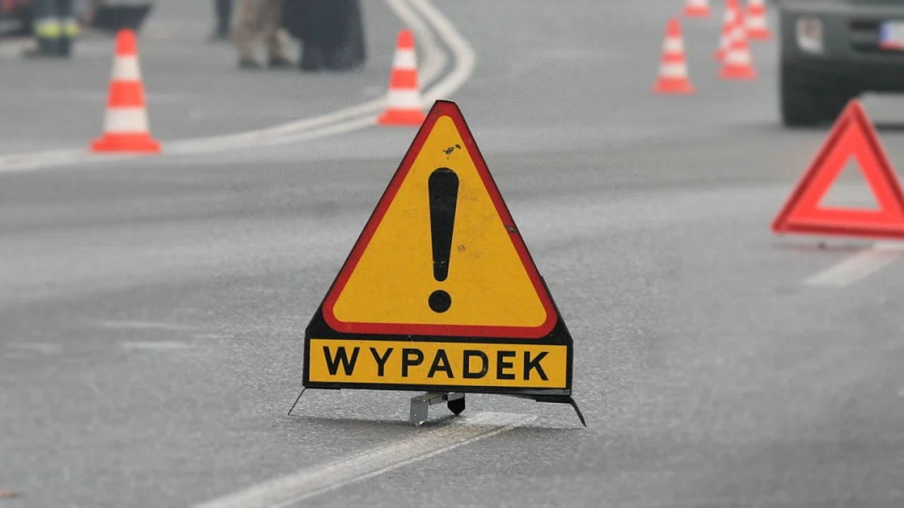 Auto wypadło z drogi - dwie osoby w szpitalu