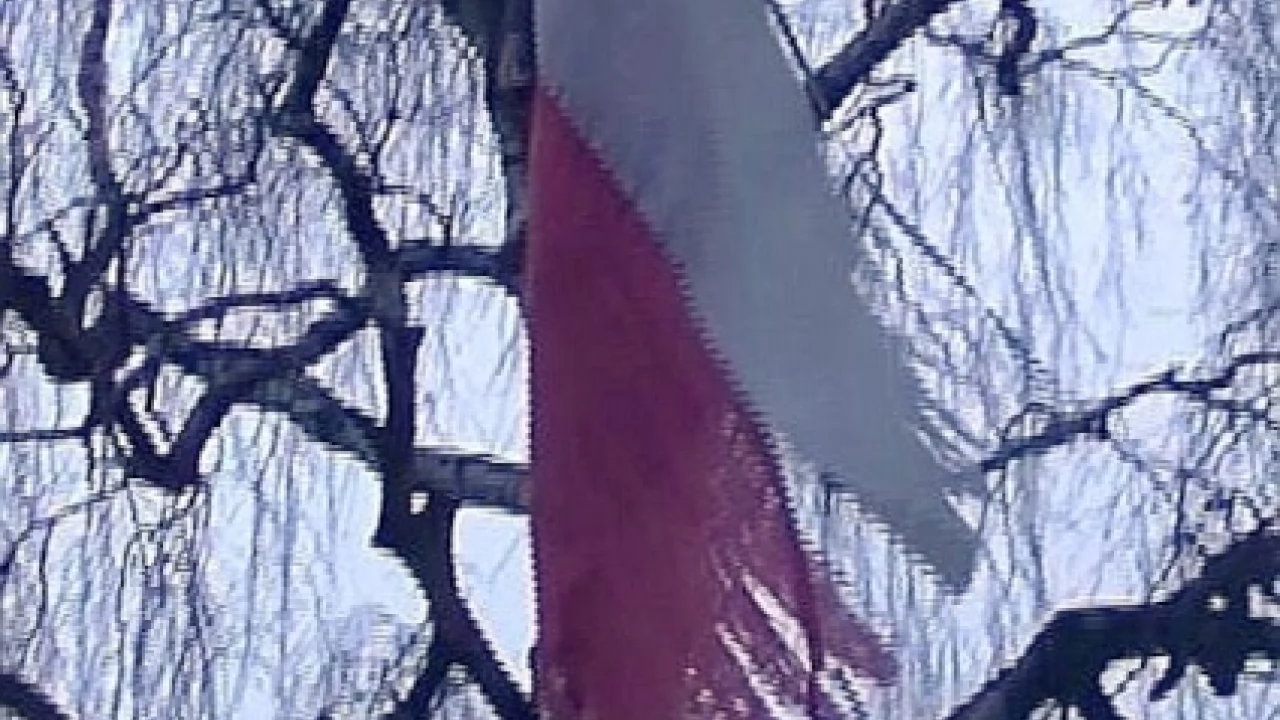 Sprawa znieważenia flag państwowych trafiła na policję