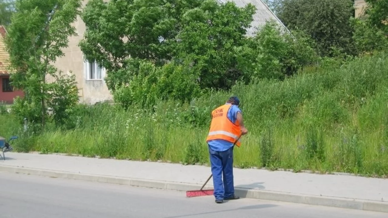 Dzięki temu zajęciu mają przystosować się do potrzeb rynku pracy