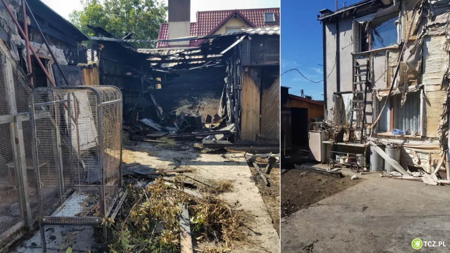 Dramat pana Zbyszka z Tczewa