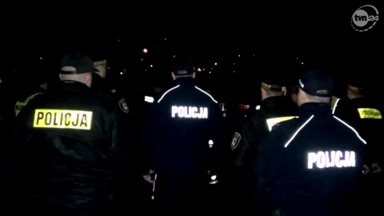 Obława na łosie w Tczewie. Nocna akcja mundurowych i ekipy TVN24