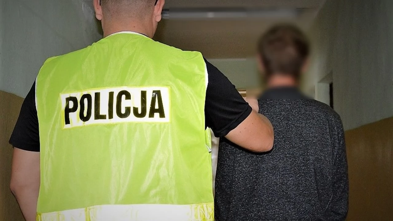 32-latek podejrzany o włamania do altan. Znikały narzędzia i AGD