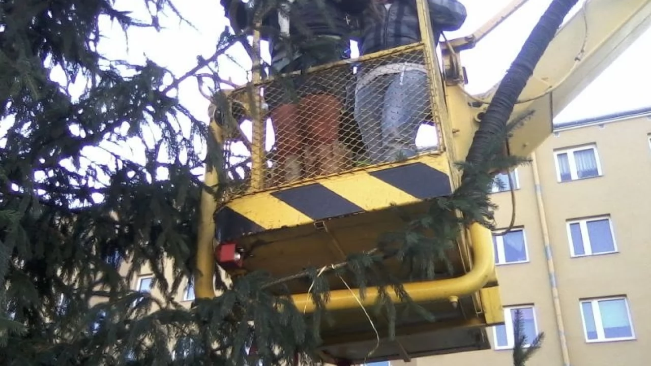 9-metrowa choinka i święty Mikołaj na Suchostrzygach
