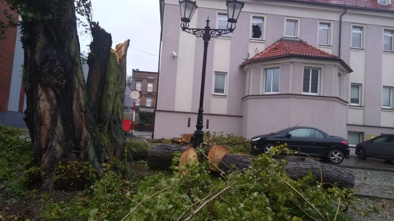 Na Pomorzu wieje. Straż usuwa skutki silnych podmuchów