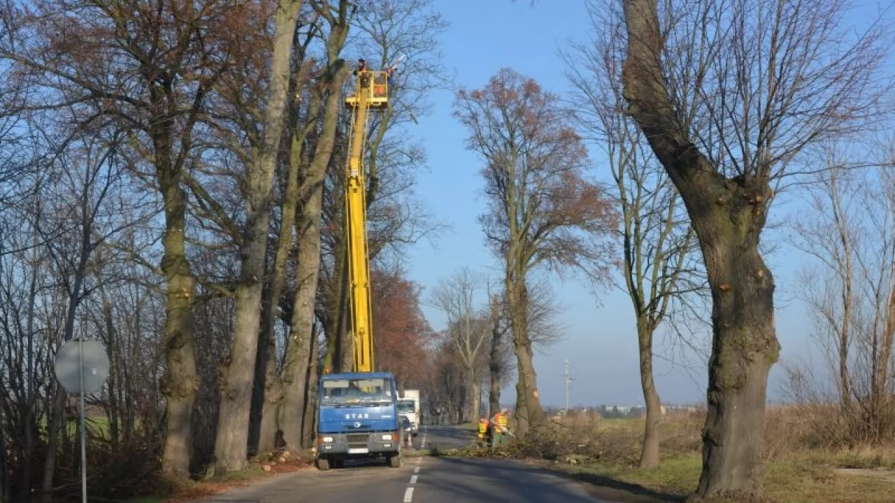 Powiatowy Zarząd Dróg - jeszcze w grudniu decyzja o przyszłości jednostki