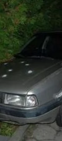 Auto zatrzymało się na płocie