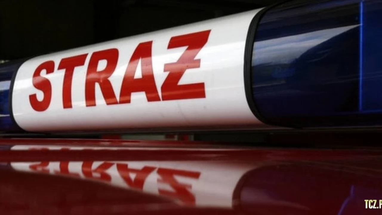 Mężczyzna wyłowiony z Wisły na wysokości wsi Boręty
