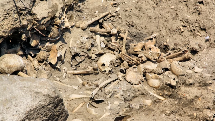 Trzeci sezon prac archeologicznych zakończony
