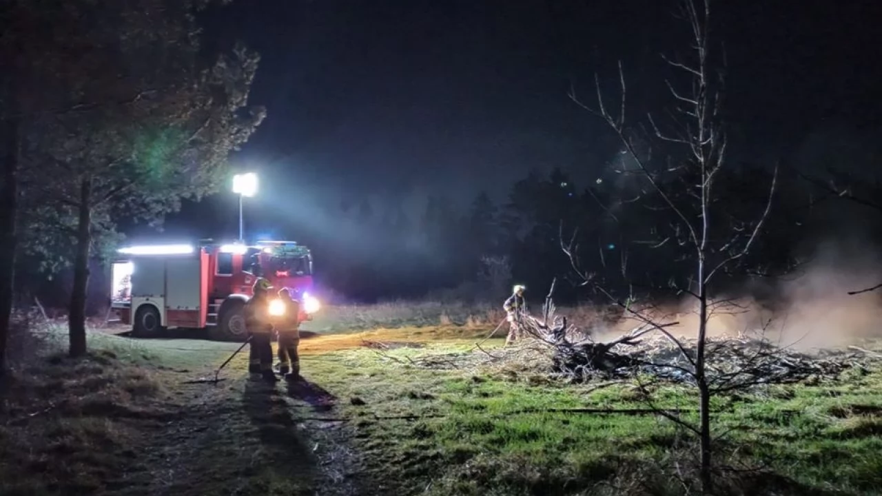 Impreza przy ognisku wymknęła się spod kontroli. Mógł spłonąć las