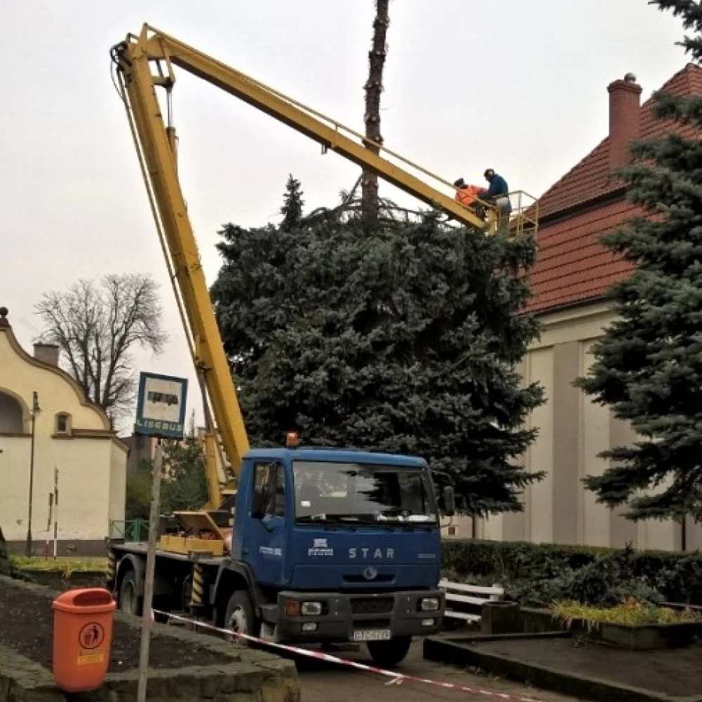 I po choince... "Bryła korzeniowa wystawała powyżej gruntu"