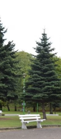 Park Kopernika