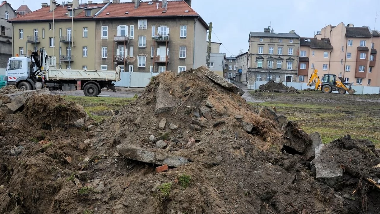 Topole poszły pod topór